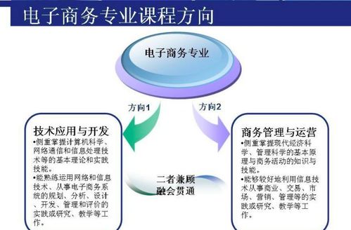学电子商务考研专业课
