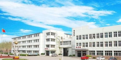 中国电子商务专业学校