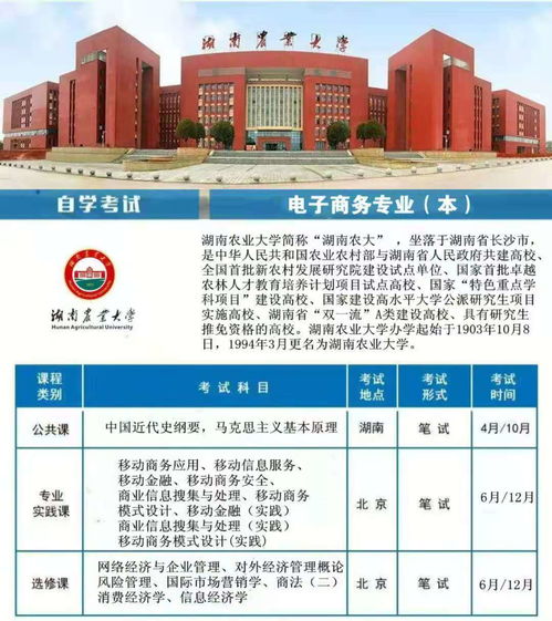 电子商务单招专业有哪些