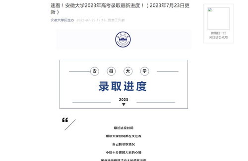 电子商务专业分为哪三种